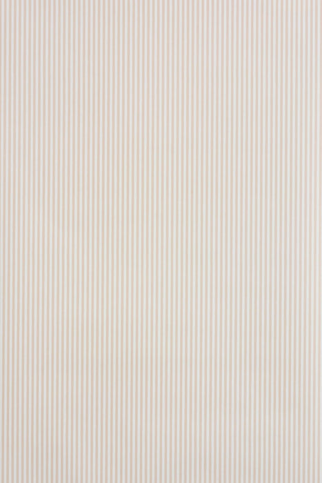 Braquenie Les Ombrelles Rayure Rose Wallpaper BP327004