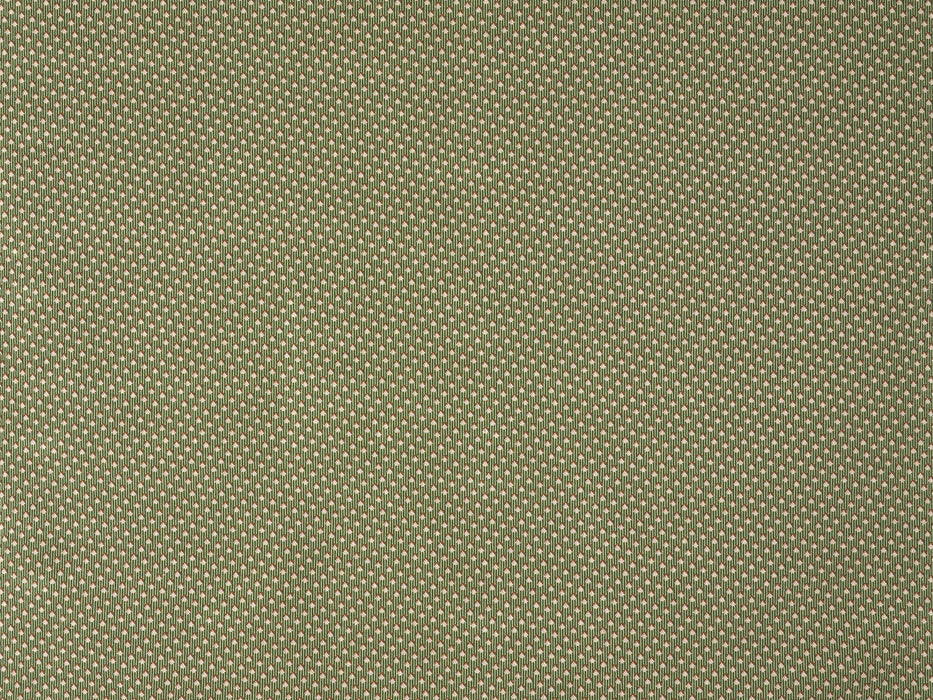 Braquenie Montresor Buisson Fabric Sample B7663001