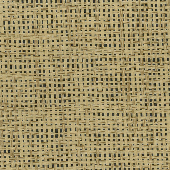 Osborne & Little Papyrus 4 Wallpaper W7930-04
