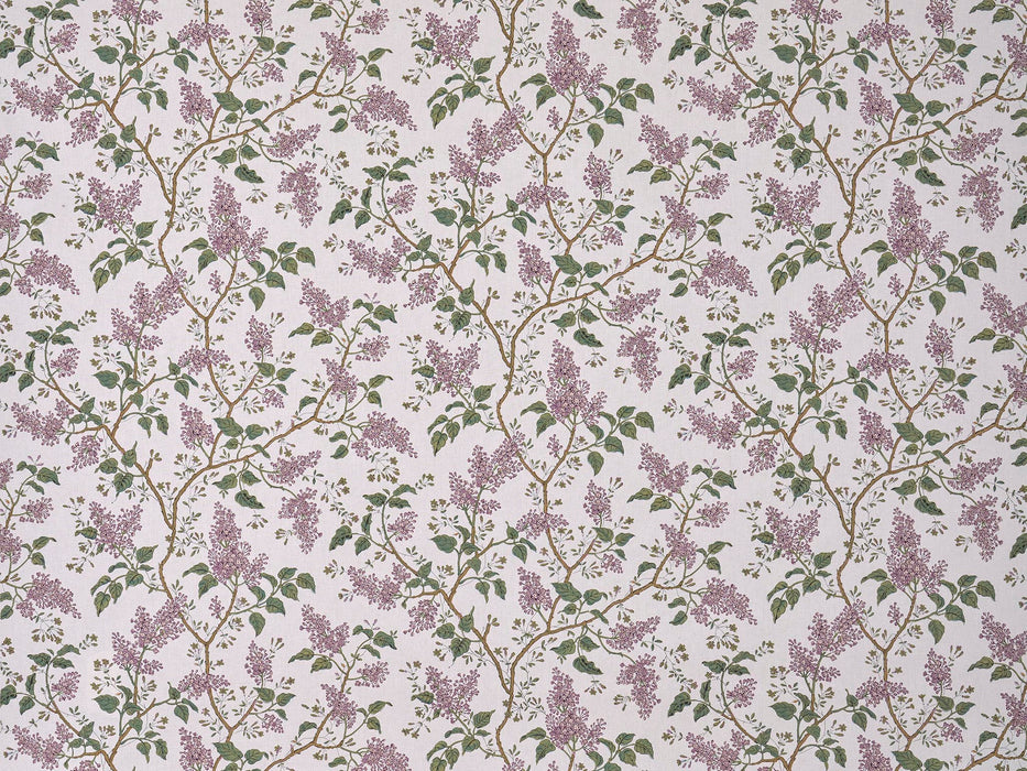 Braquenie Les Lilas Parme Fabric B7678003