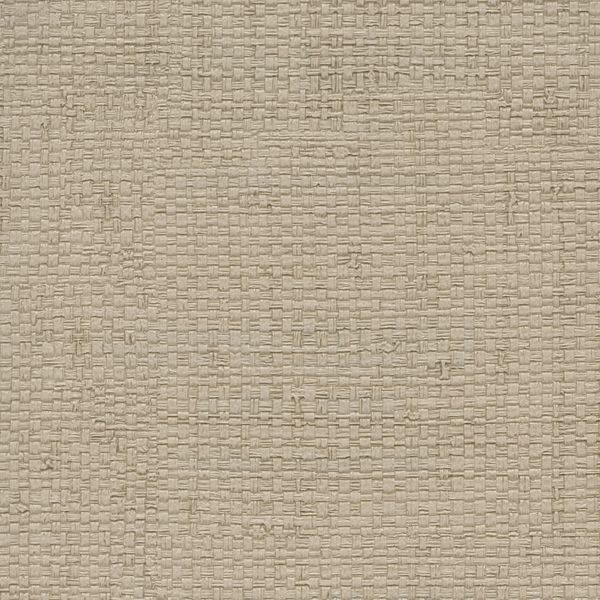 Winfield Thybony Mura Driftwood Wallpaper Sample WPW1101.WT.0