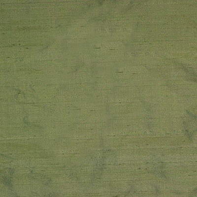 Parkertex Plain Silk Moss Fabric 045280.323.0