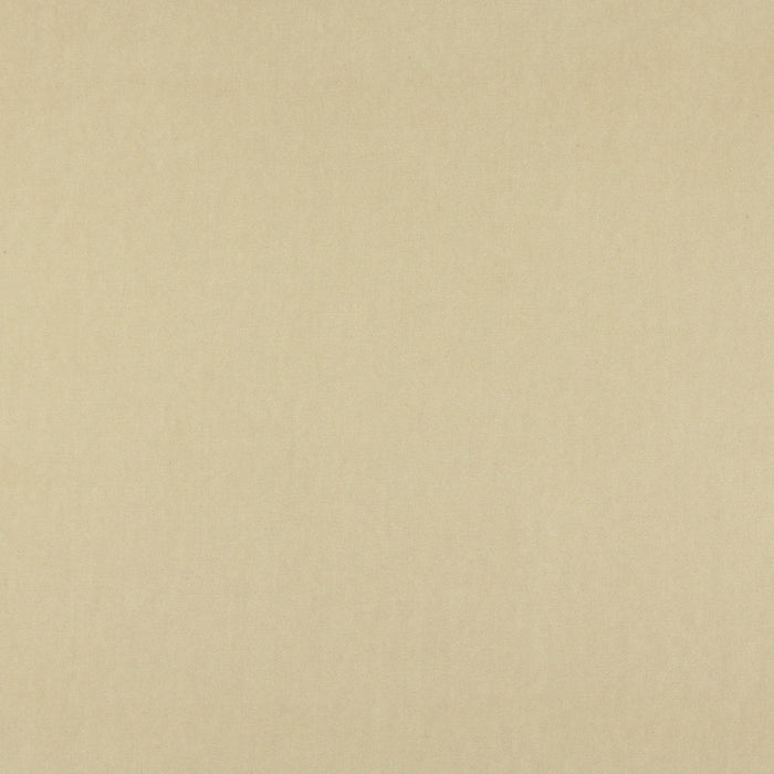 Charlotte Fabric Sample 10000-16