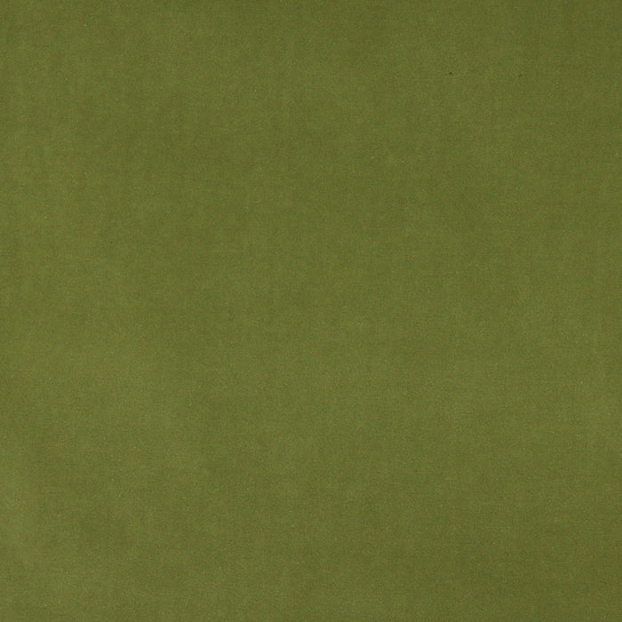 Charlotte Fabric 10000-17