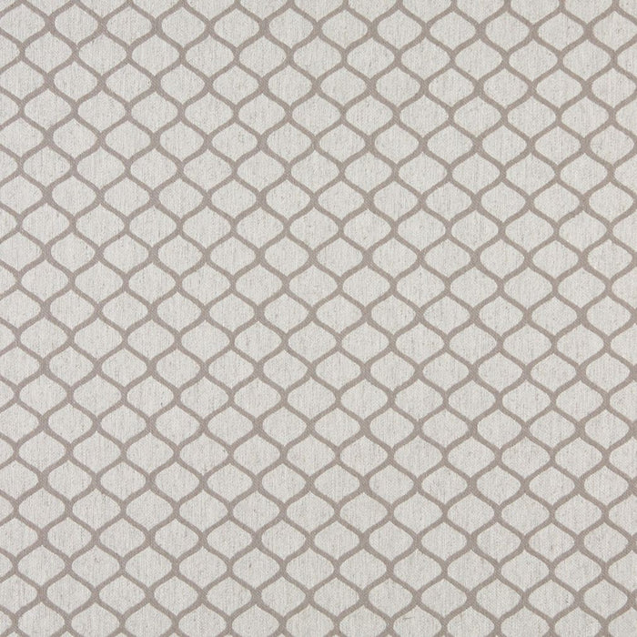 Charlotte Fabric 10005-06