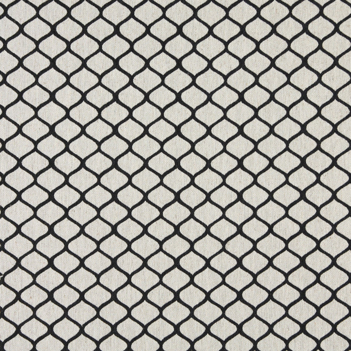 Charlotte Fabric 10005-07