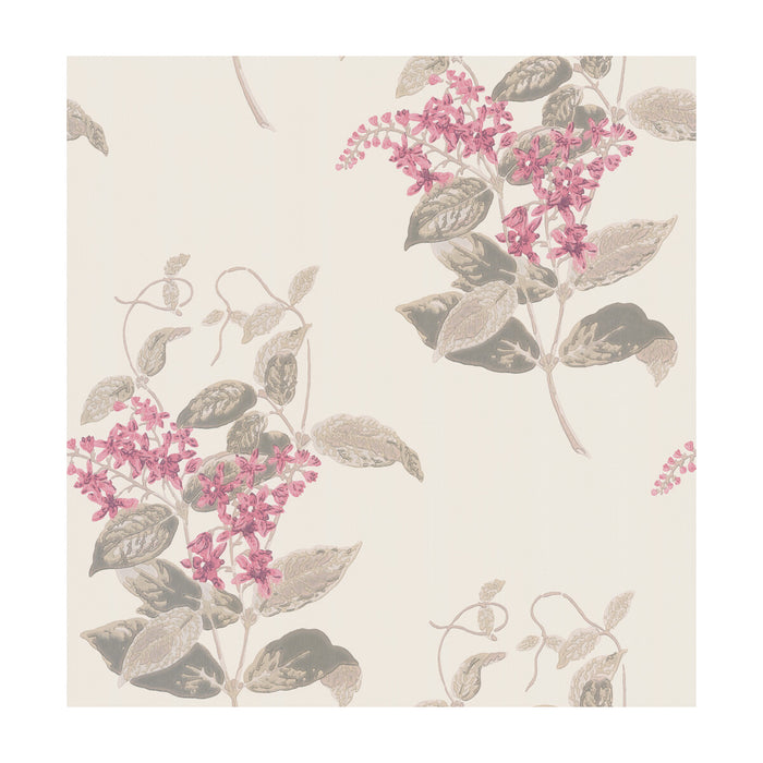 Cole & Son Madras Violet Pink Wallpaper 100/12058.CS.0