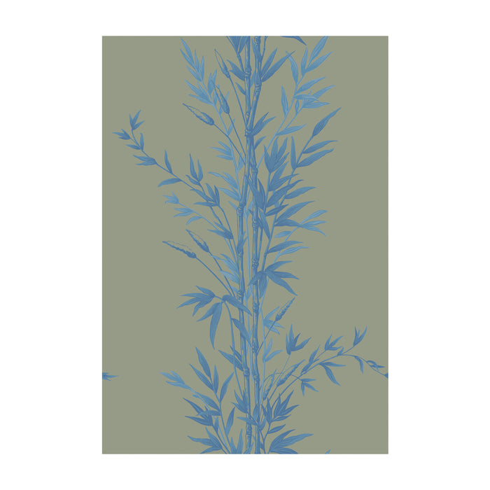 Cole & Son Bamboo Blue On Khaki Wallpaper 100/5026.CS.0