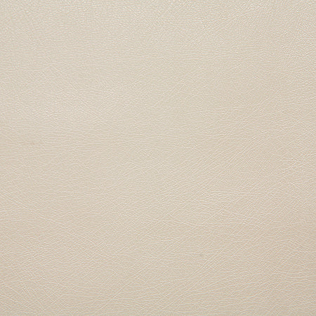 Pindler Barstow Ecru Fabric 1012