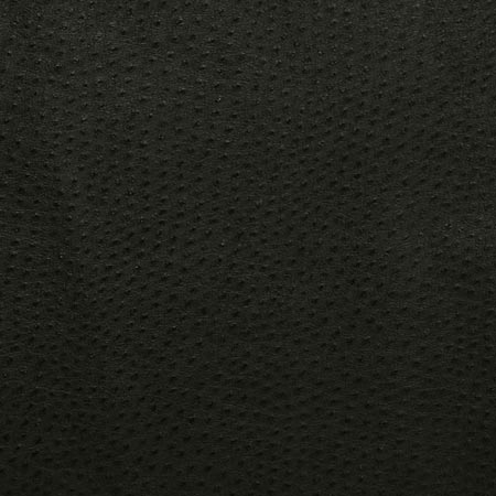 Pindler Outback Ebony Fabric 1014