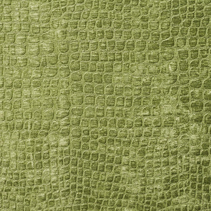 Charlotte Fabric 10151-01