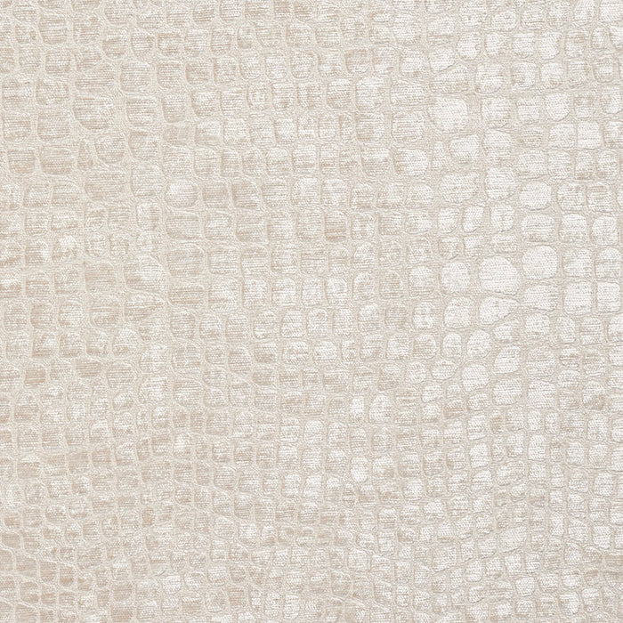 Charlotte Fabric 10151-05