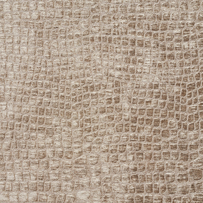 Charlotte Fabric 10151-07