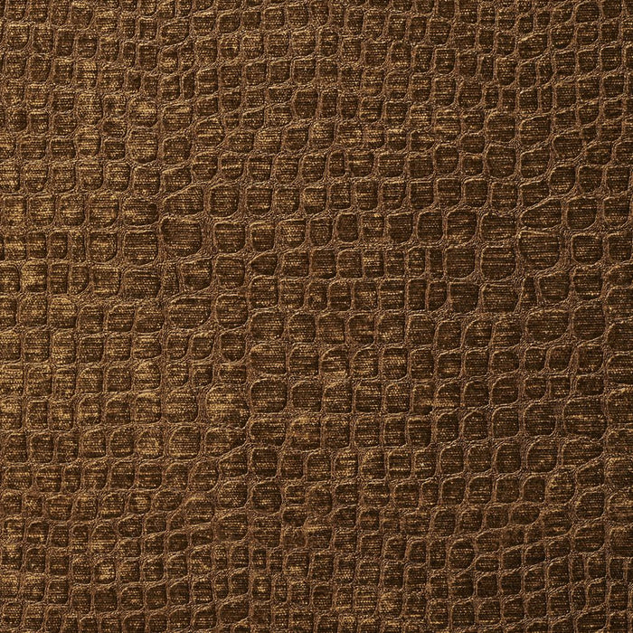 Charlotte Fabric 10151-10