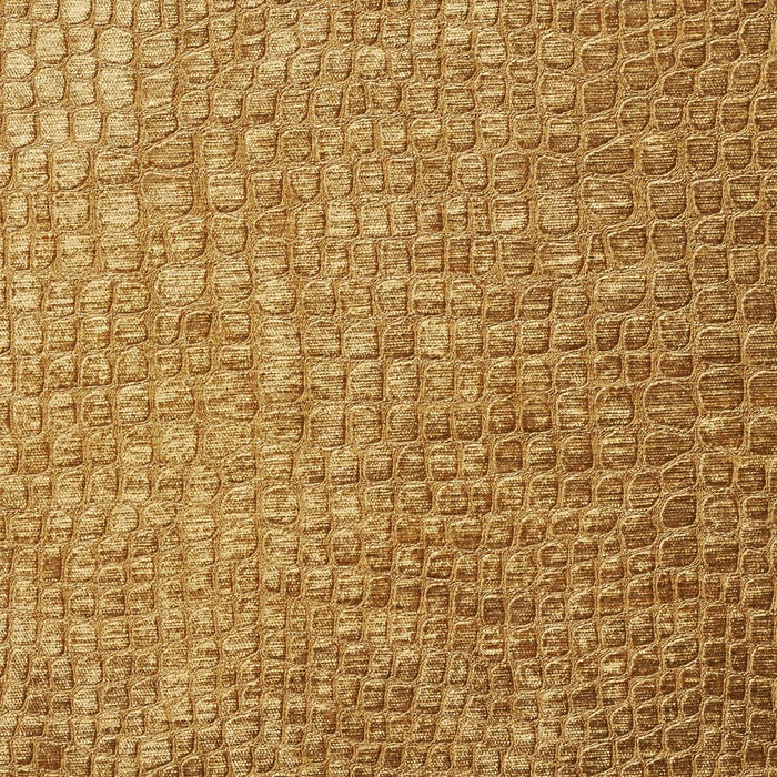 Charlotte Fabric 10151-13