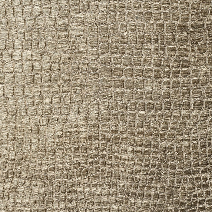 Charlotte Fabric 10151-15