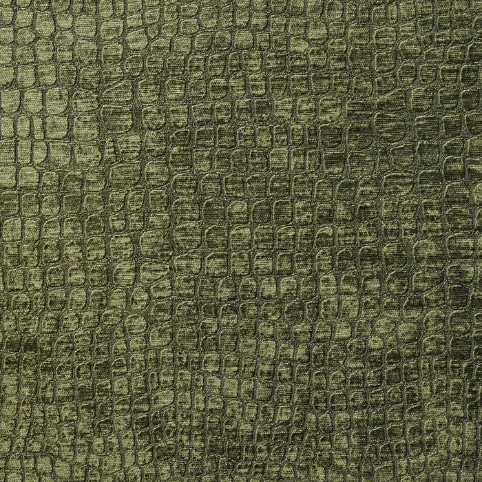 Charlotte Fabric 10151-16