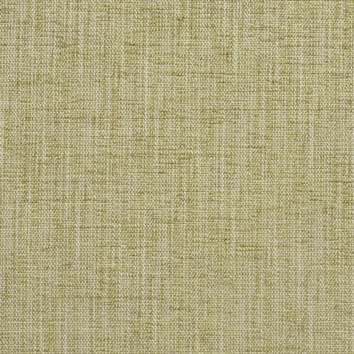 Charlotte Fabric 10430-01