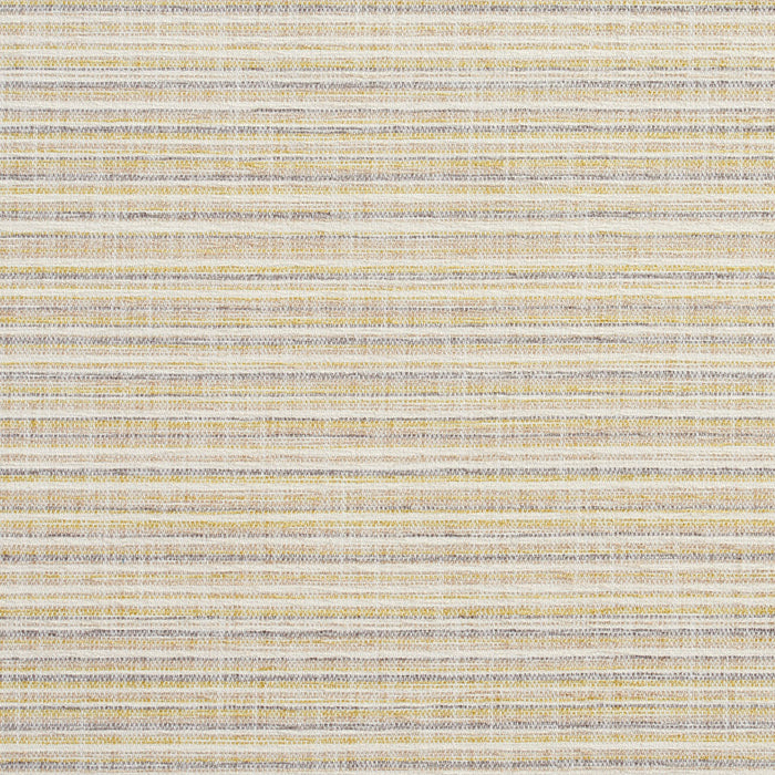 Charlotte Fabric 10460-01