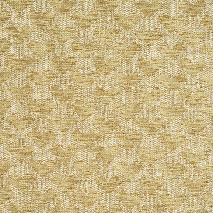 Charlotte Fabric 10470-01