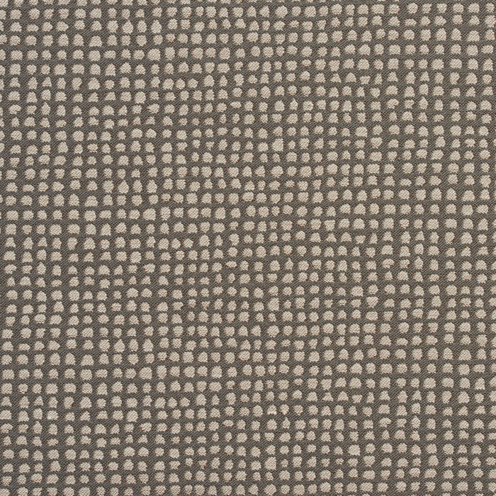 Charlotte Fabric 10500-01