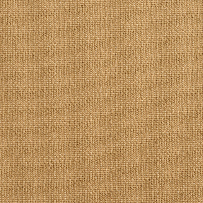 Charlotte Fabric 10670-01