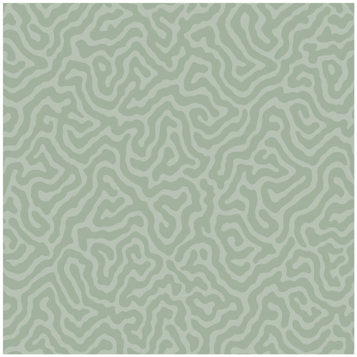 Cole & Son Coral Sage Wallpaper 106/5066.CS.0