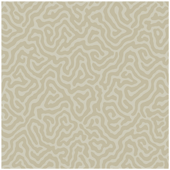 Cole & Son Coral Pale Stone Wallpaper 106/5072.CS.0