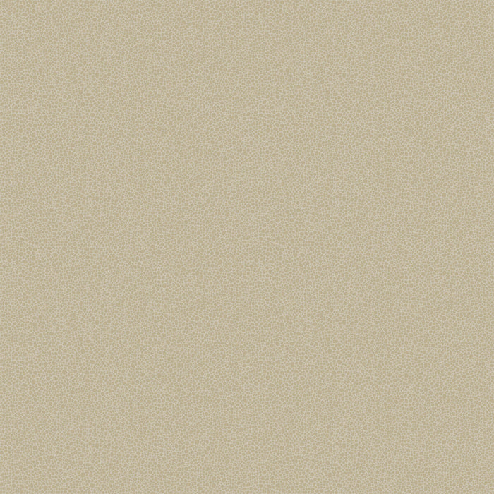 Cole & Son Goldstone Stone & Gilver Wallpaper 107/9042.CS.0