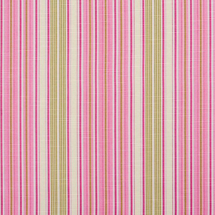 Charlotte Fabric 10900-01