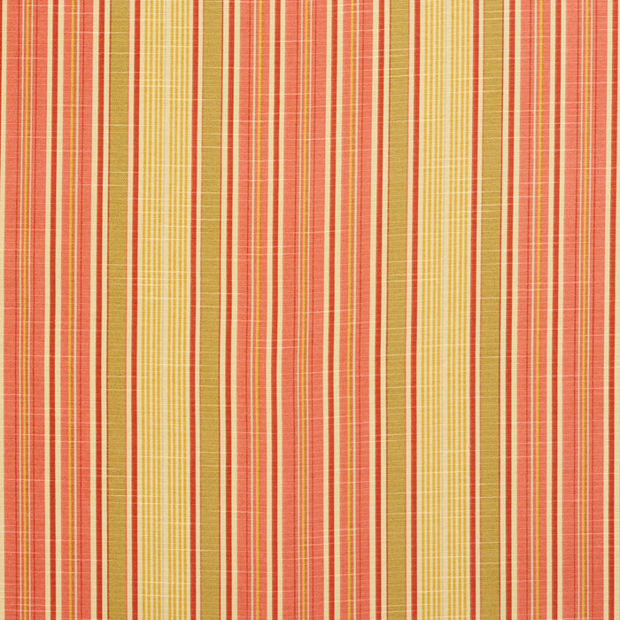 Charlotte Fabric 10900-02