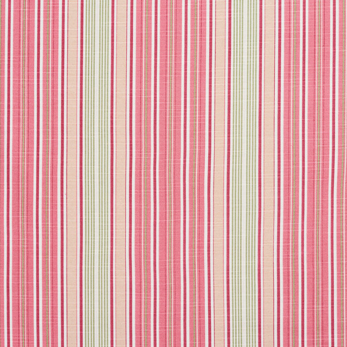Charlotte Fabric 10900-03