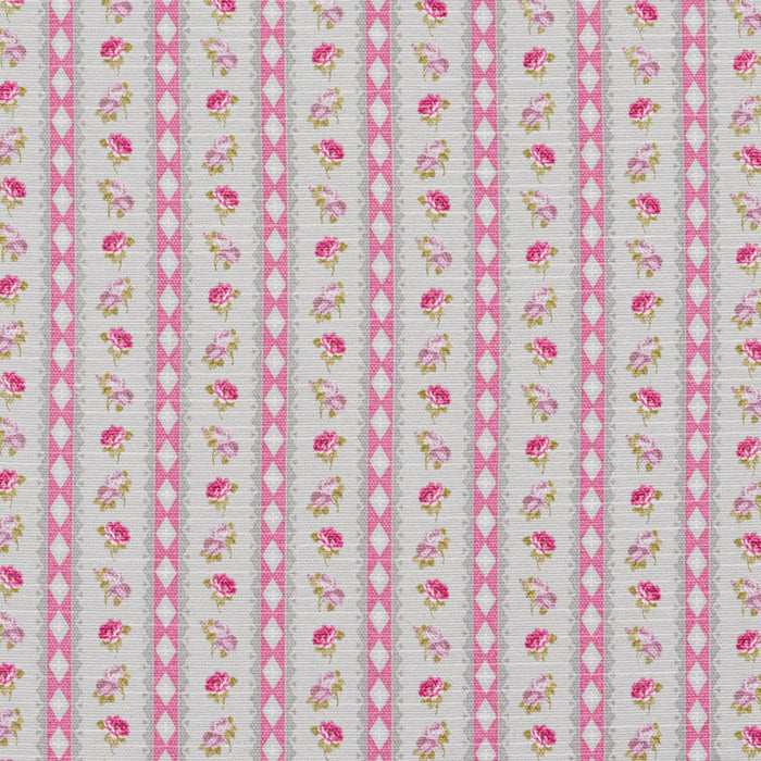 Charlotte Fabric 10920-01