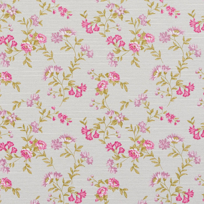 Charlotte Fabric 10930-01
