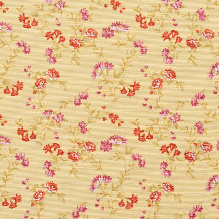 Charlotte Fabric 10930-02