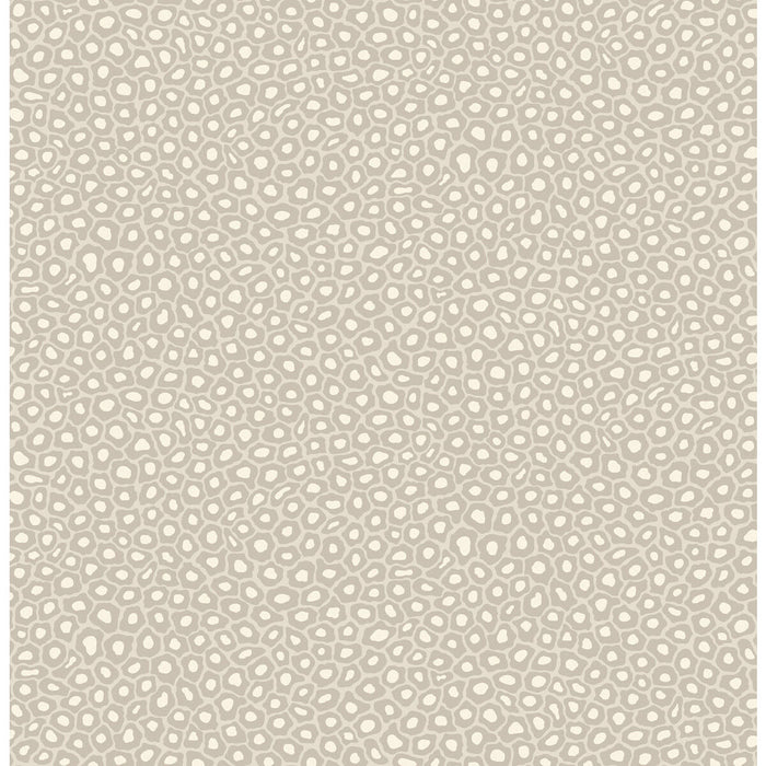 Cole & Son Senzo Spot Stone & White Wallpaper 109/6030.CS.0