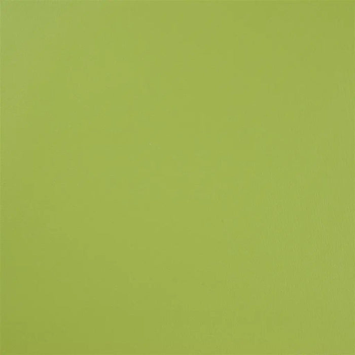 Designers Guild Manso 5 Fabric F1675-05