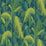 Cole & Son Palm Jungle Petrol/Lime Wallpaper 112/1002.CS.0