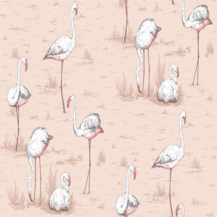 Cole & Son Flamingos Plaster Pink Wallpaper 112/11039.CS.0