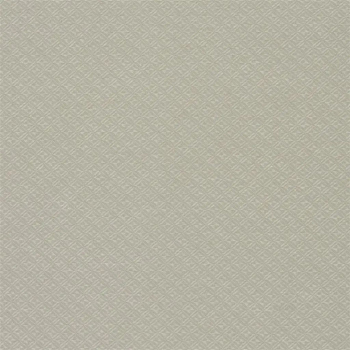Designers Guild Poiziere 2 Fabric F1906-02