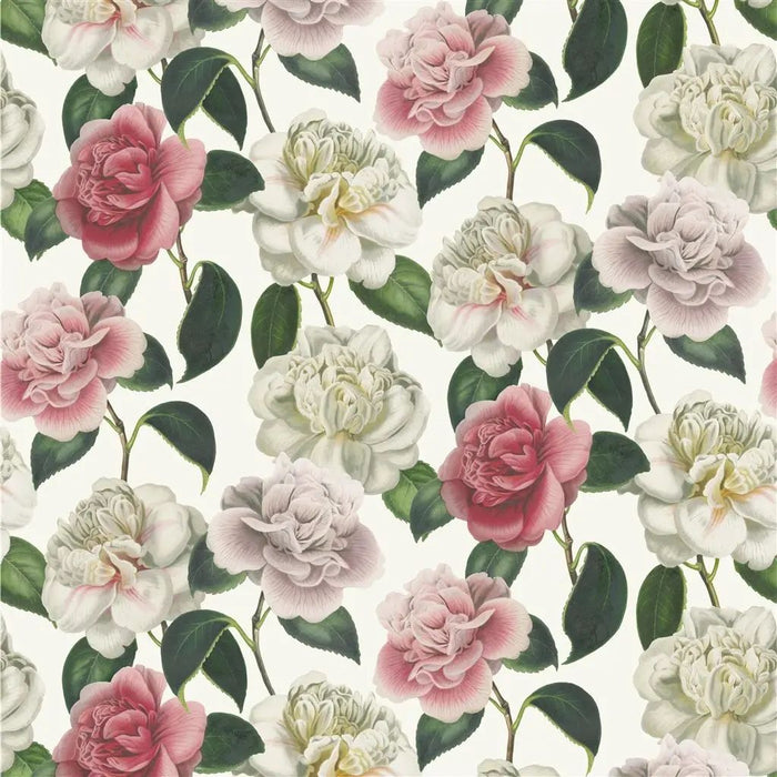 John Derian Camellia Folly 1 Fabric FJD6020-01