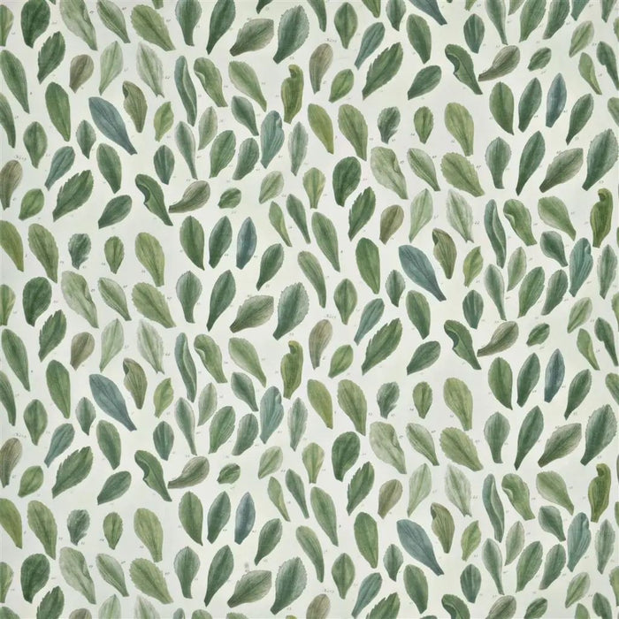 John Derian Leaf Specimens 1 Fabric FJD6018-01