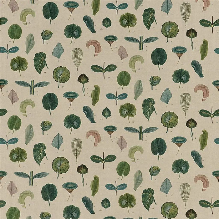 John Derian A Leaf Study 1 Fabric FJD6017-01