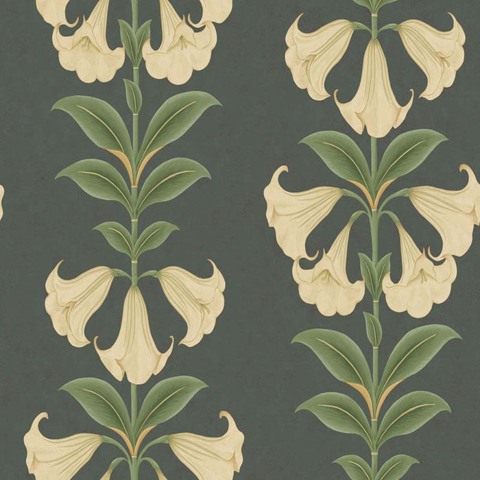 Cole & Son Angels Trumpet Cream/Olive Green/Charcoal Wallpaper 117/3006.CS.0