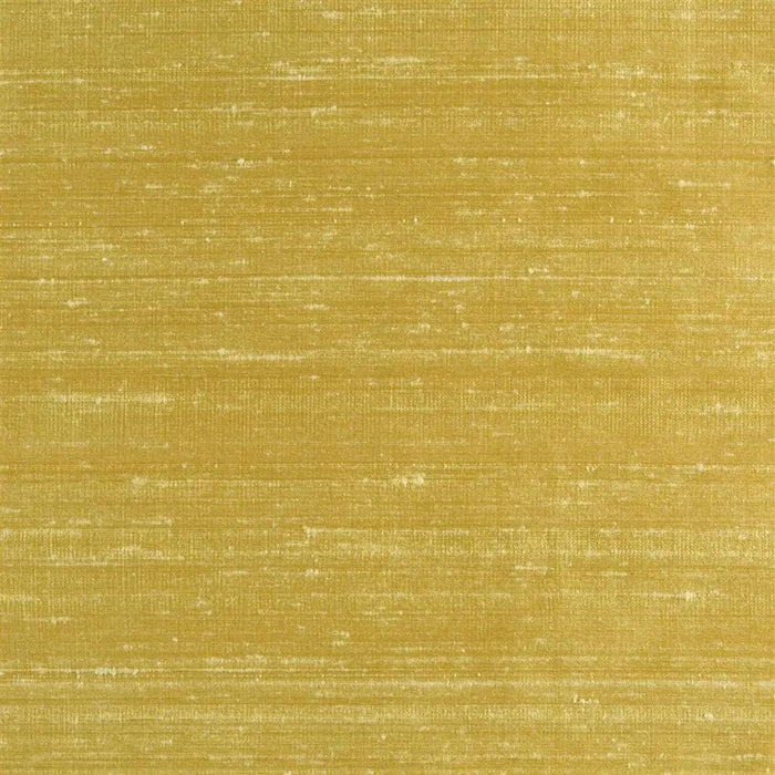 Designers Guild Chinon 25 Fabric F1165-25