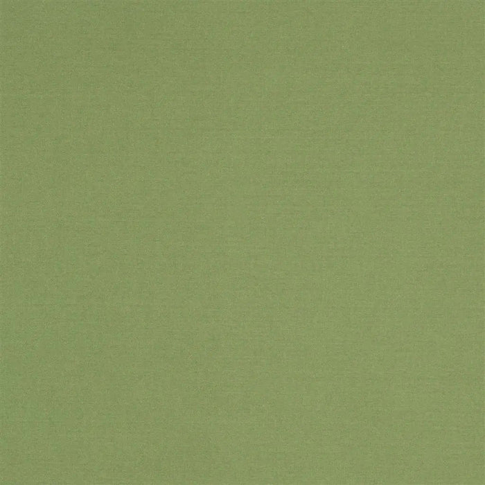 Designers Guild Aviano 20 Fabric F1911-20