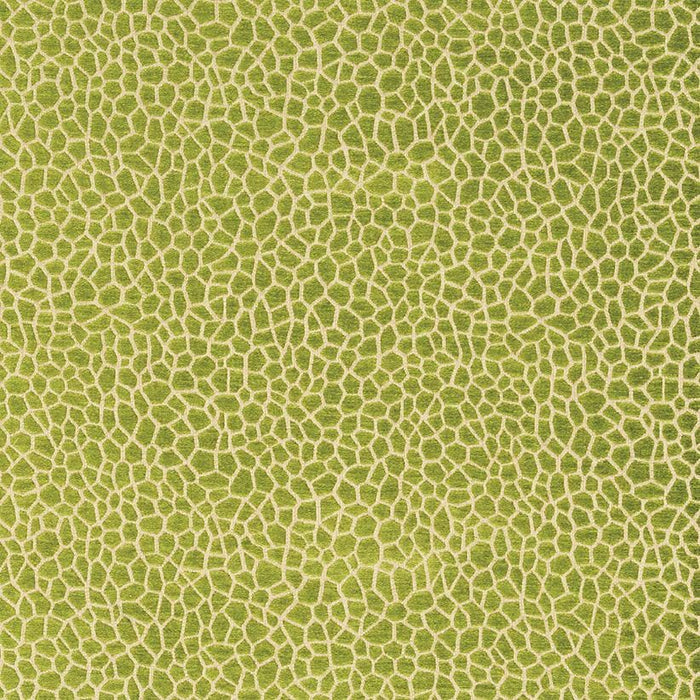 Matthew Williamson Kairi 1 Fabric F6632-01