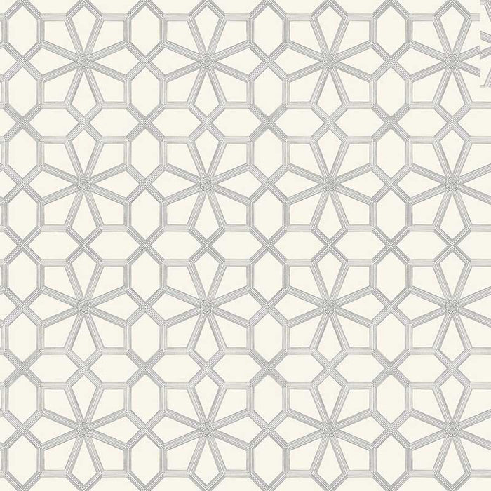 Cole & Son Wolsey Stars Soot On Snow Wallpaper 118/16036.CS.0