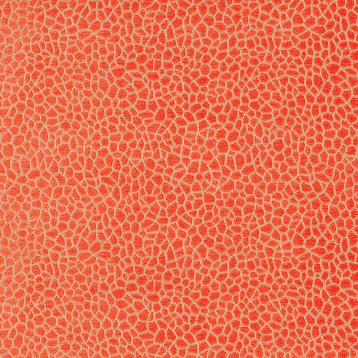Matthew Williamson Kairi 6 Fabric F6632-06