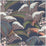 Cole & Son Hoopoe Leaves Midnight Wallpaper 119/1006.CS.0